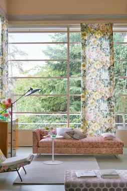 GRANDIFLORA ROSE COLLECTION