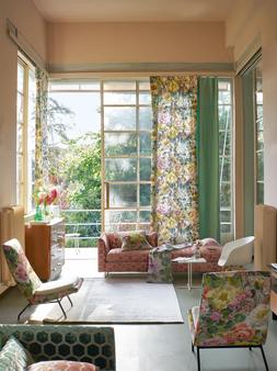 GRANDIFLORA ROSE COLLECTION