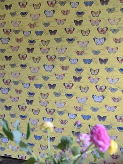 AW23 John Derian F&W Lifestyle