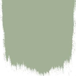 TUSCAN OLIVE 85