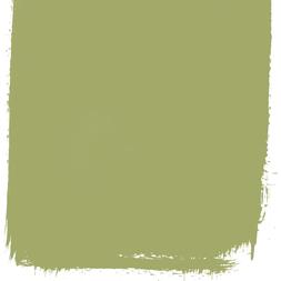 ASPARAGUS FERN 94