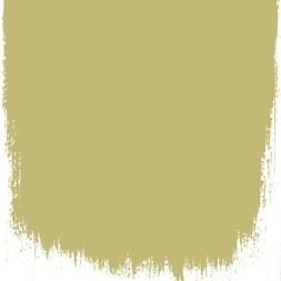 FENOUIL 110