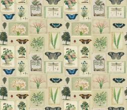 FLORA AND FAUNA - PARCHMENT
