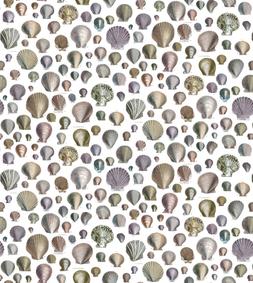 CAPTAIN THOMAS BROWN'S SHELLS - OYSTER