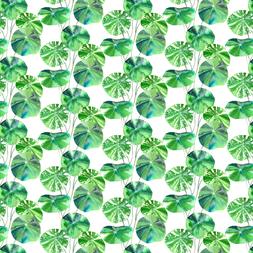 BRAHMI OUTDOOR - LEAF
