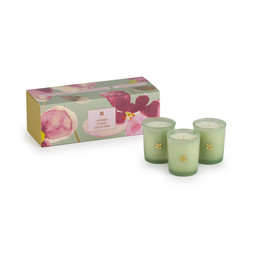 NT Candle Trio Blossom Collection £24