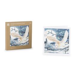 National Trust Moonlit Flight Cards Box of 10_gbp_5
