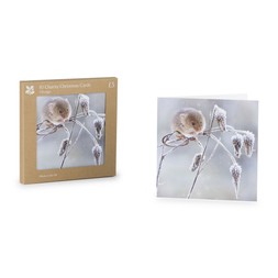 National Trust Harvest Mouse Cards Box of 10_gbp_5
