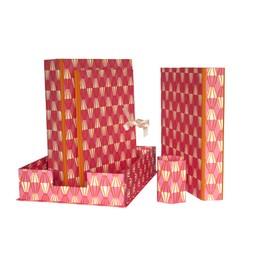Cambridge Imprint Threadwork Bright Pink and Orange Desk Storage