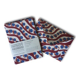 Packet of Ten Patterned Envelopes in Charleston Scumble