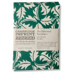 Packet of Ten Patterned Envelopes in Dandelion Bottle Green