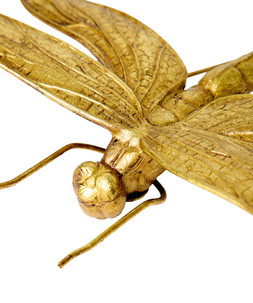 Dazzling Dragonfly Wall Decor £40