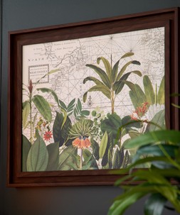 Exotic Wildlife Framed Canvas Print £65