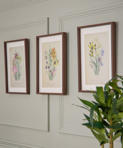 Fresh Flowers Framed Prints Set Of 3 £35