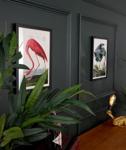 Great Blue Heron And Flamingo Framed Prints Set Of 2 £40