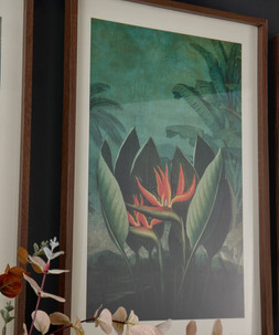 Tropical Floral Framed Prints Set Of 3 £75