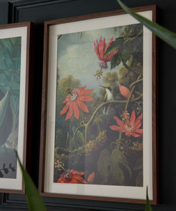 Tropical Floral Framed Prints Set Of 3 £75