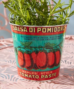Retro Tomato Tin Planters Set £15