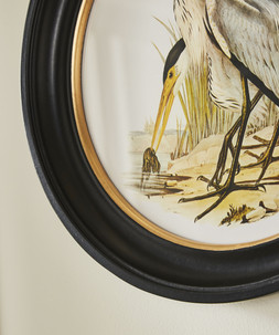 Traditional Coastal Birds Round Framed Prints Set Of 3 £75