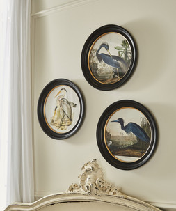 Traditional Coastal Birds Round Framed Prints Set Of 3 £75