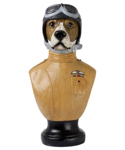 RAF Diligent Dog Bust £135