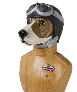 RAF Diligent Dog Bust £135