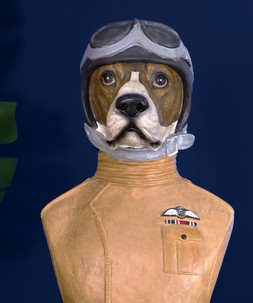 RAF Diligent Dog Bust £135