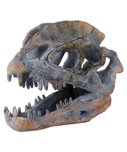Dilophosaurus Skull Figure £16
