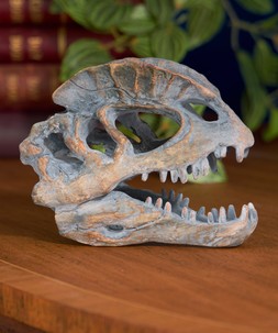 Dilophosaurus Skull Figure £16