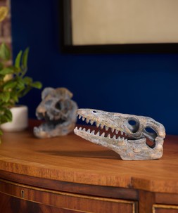 Archaeopteryx Skull Figure £16
