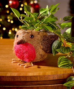 ZA802A 1 Ruby Robin Planter £8
