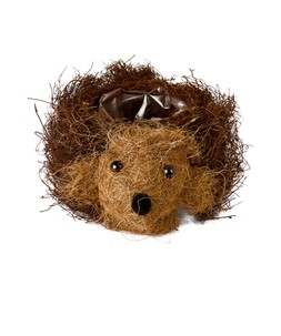 ZA803A 2 Happy Hedgehog Planter £12