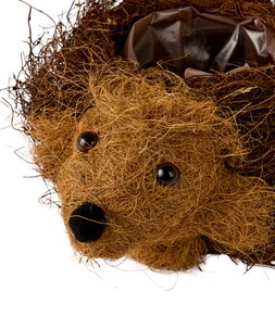 ZA803A 3 Happy Hedgehog Planter £12