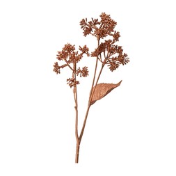 TK Maxx Kintentional Copper Branch With Flowers (RRP €8.99) €3.99