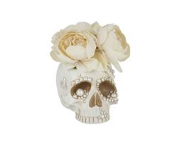 TK Maxx - skull -&euro;17.99 - 3319
