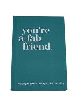 TK Maxx friend book £3.99 (RRP £8.99)