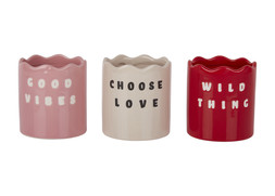 TK Maxx ceramic planters £9.99 (RRP £)