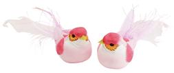 Pink Love Birds