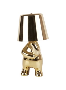 Homesense Gold Lamp £19.99