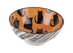 Homesense Halloween Cat Bowl £3.99