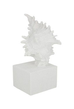 Homesense - shell scuplture &pound;12.99 (RRP &pound;XX)