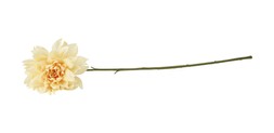 Homesense yellow plastic flower £2.49 (RRP £)
