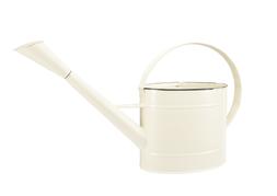 Cream Watering Can