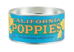 Poppies Tin