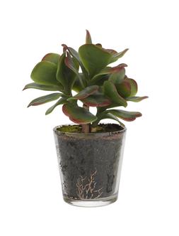 Fake Plant