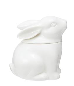 White China Rabbit