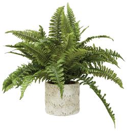Faux Plant