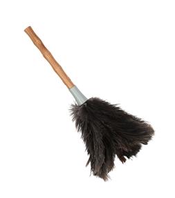 Feather Duster