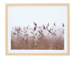 grass print with wooden frame
