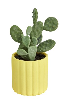 Homesense Colourful Christmas faux catcus in yellow pot &pound;7.99